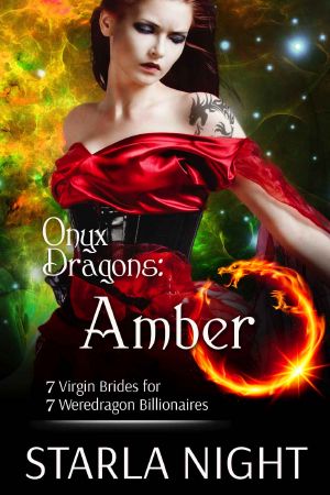 [7 Virgin Brides for 7 Weredragon Billionaires 04] • Onyx Dragons · Amber · 7 Virgin Brides for 7 Weredragon Billionaires